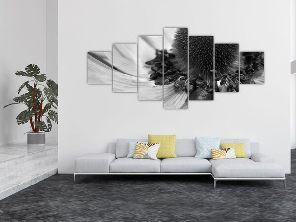 Obraz - Květina v černobílé (210x100 cm)
