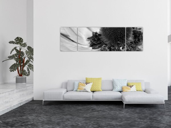 Obraz - Květina v černobílé (170x50 cm)