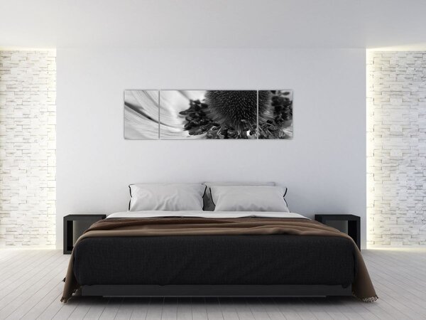 Obraz - Květina v černobílé (170x50 cm)