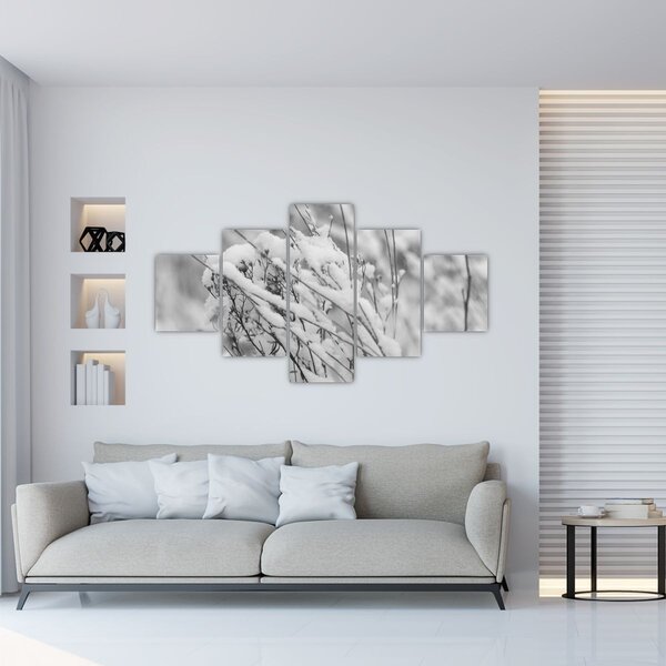 Obraz - Zasněžené větve (125x70 cm)