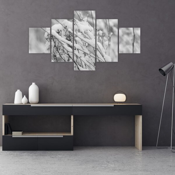 Obraz - Zasněžené větve (125x70 cm)