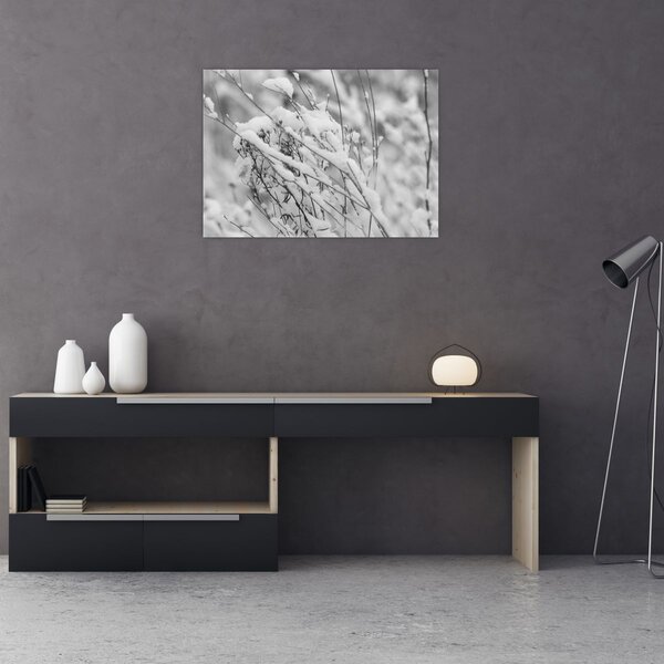 Obraz - Zasněžené větve (70x50 cm)
