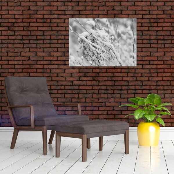 Obraz - Zasněžené větve (70x50 cm)