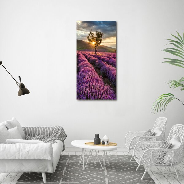 Vertikální Foto obraz canvas Pole levandule ocv-67085325