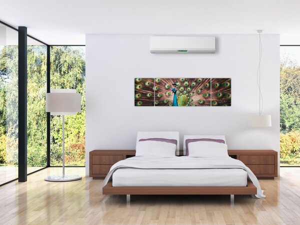 Obraz - Páv (170x50 cm)