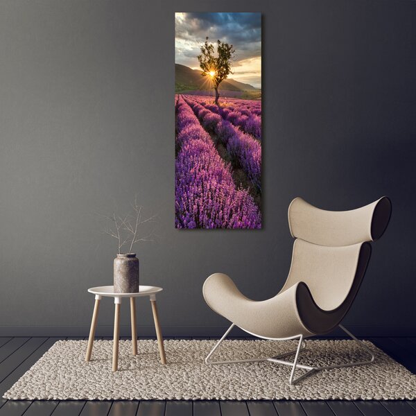 Vertikální Foto obraz canvas Pole levandule ocv-67085325