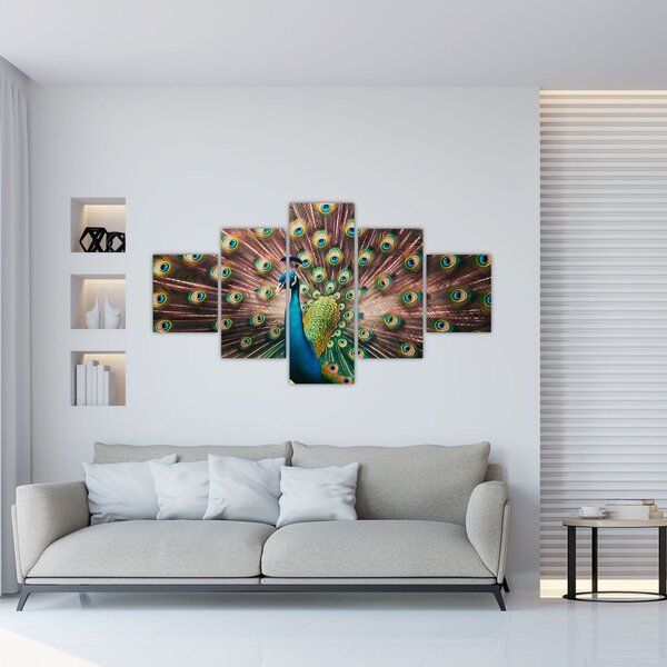 Obraz - Páv (125x70 cm)