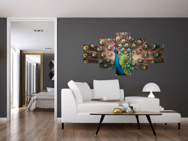 Obraz - Páv (125x70 cm)