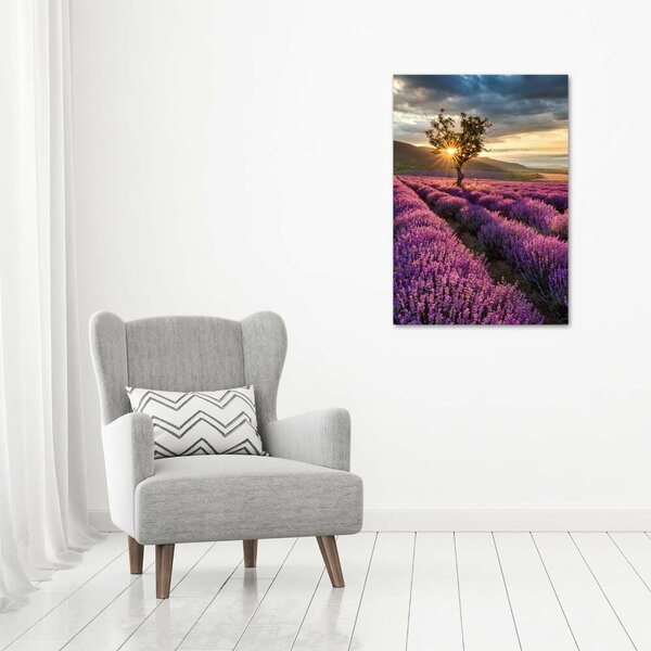 Vertikální Foto obraz canvas Pole levandule ocv-67085325