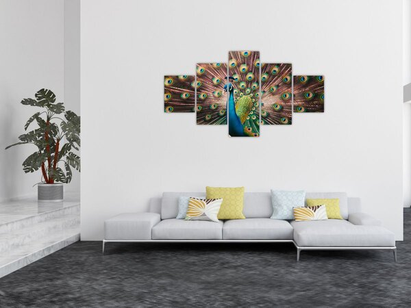 Obraz - Páv (125x70 cm)