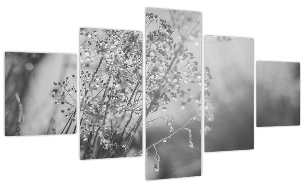 Obraz - Louka po dešti (125x70 cm)