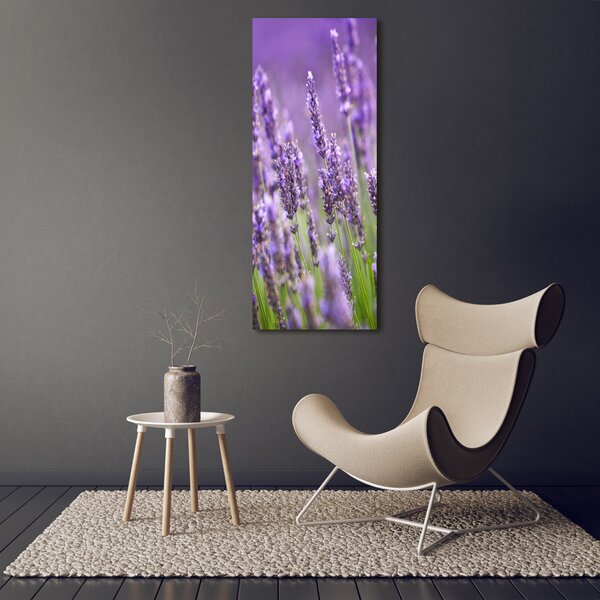 Vertikální Foto obraz canvas Pole levandule ocv-67144915