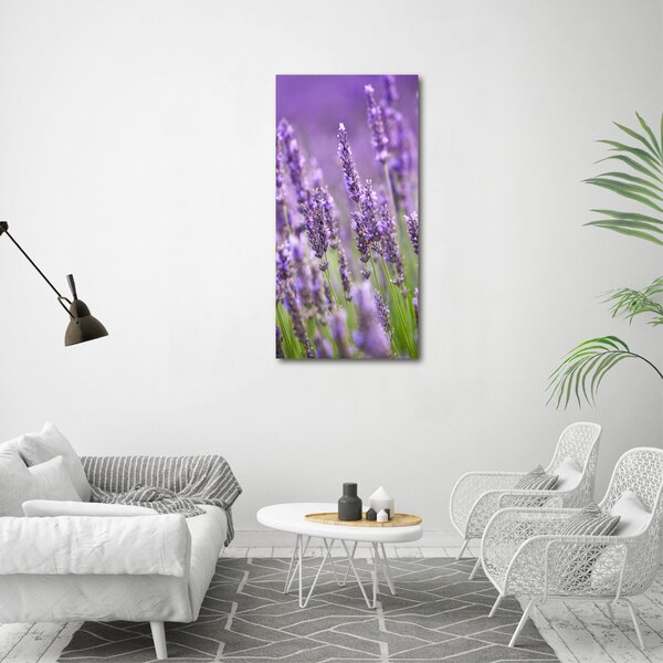 Vertikální Foto obraz canvas Pole levandule ocv-67144915