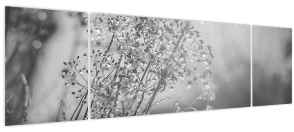Obraz - Louka po dešti (170x50 cm)