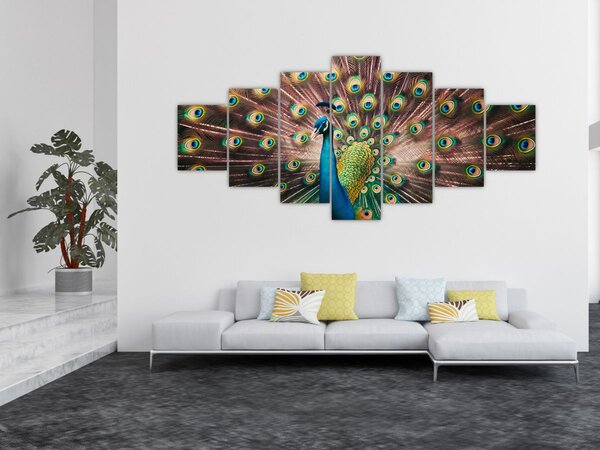 Obraz - Páv (210x100 cm)