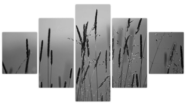 Obraz - Stébla trávy (125x70 cm)