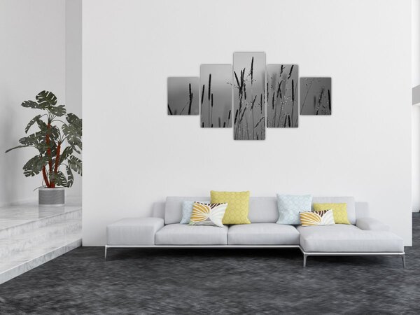 Obraz - Stébla trávy (125x70 cm)