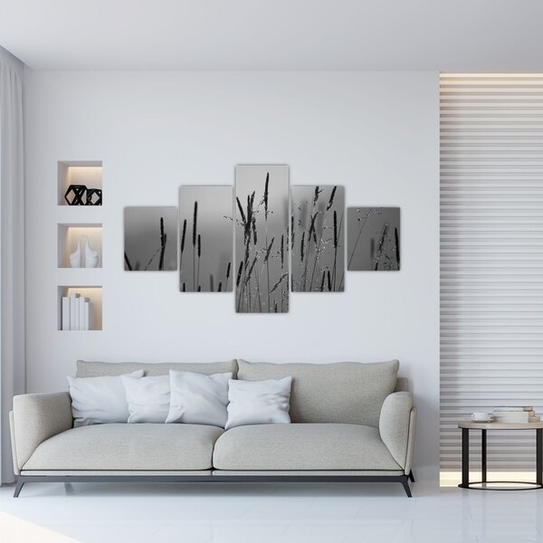 Obraz - Stébla trávy (125x70 cm)