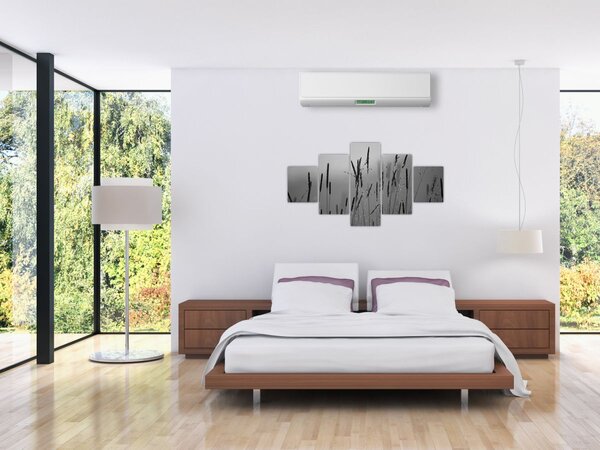 Obraz - Stébla trávy (125x70 cm)