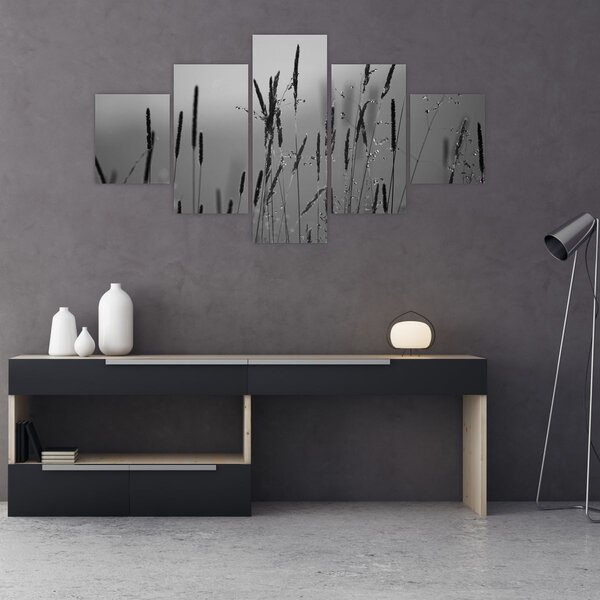 Obraz - Stébla trávy (125x70 cm)