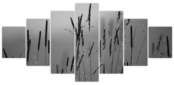 Obraz - Stébla trávy (210x100 cm)