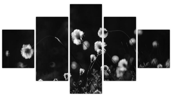 Obraz - Louka s cottongrass N⁰1 (125x70 cm)