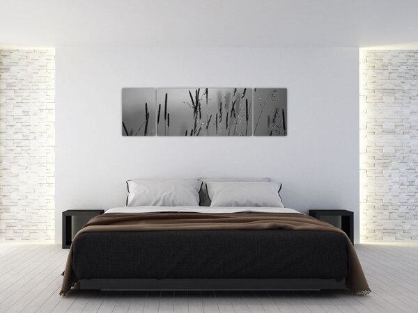 Obraz - Stébla trávy (170x50 cm)