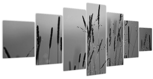 Obraz - Stébla trávy (210x100 cm)