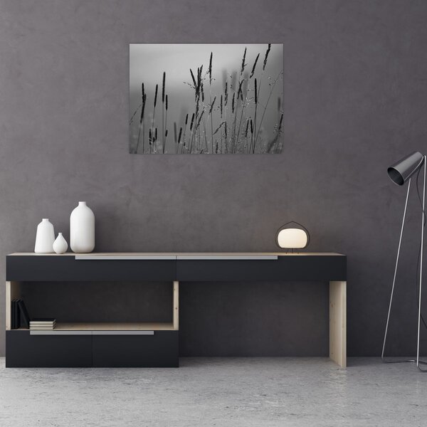 Obraz - Stébla trávy (70x50 cm)