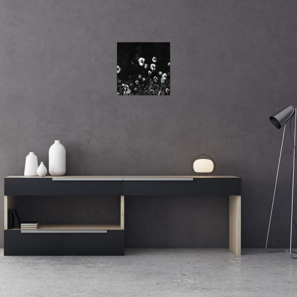 Obraz - Louka s cottongrass N⁰1 (30x30 cm)