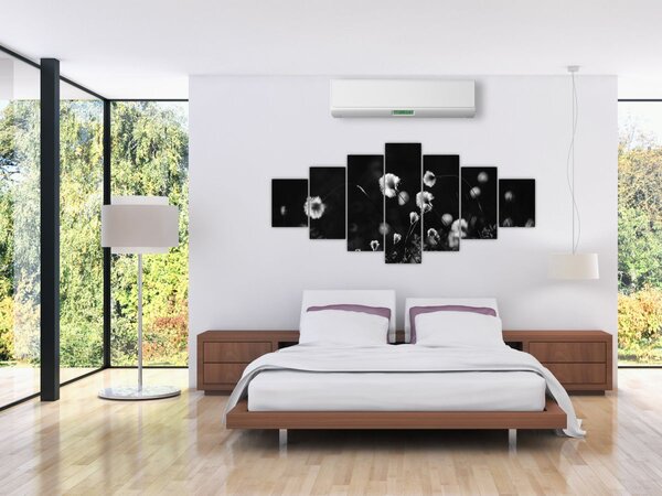 Obraz - Louka s cottongrass N⁰1 (210x100 cm)
