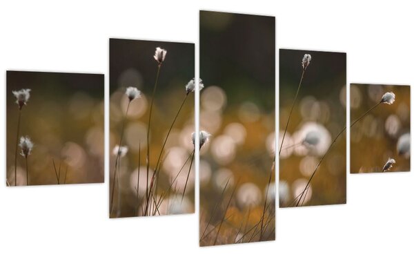 Obraz - Louka s cottongrass N⁰2 (125x70 cm)