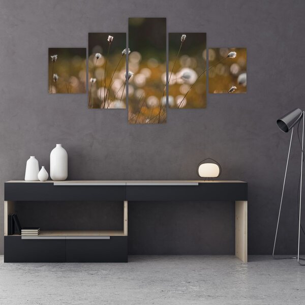 Obraz - Louka s cottongrass N⁰2 (125x70 cm)