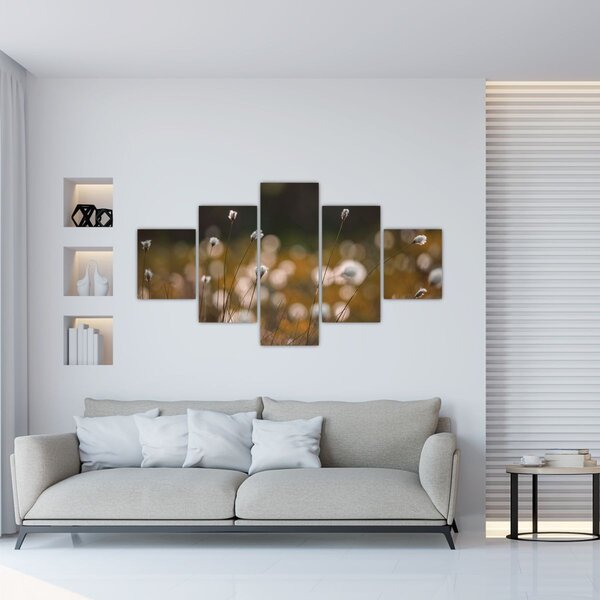 Obraz - Louka s cottongrass N⁰2 (125x70 cm)