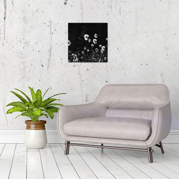 Obraz - Louka s cottongrass N⁰1 (30x30 cm)