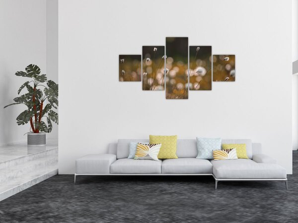 Obraz - Louka s cottongrass N⁰2 (125x70 cm)