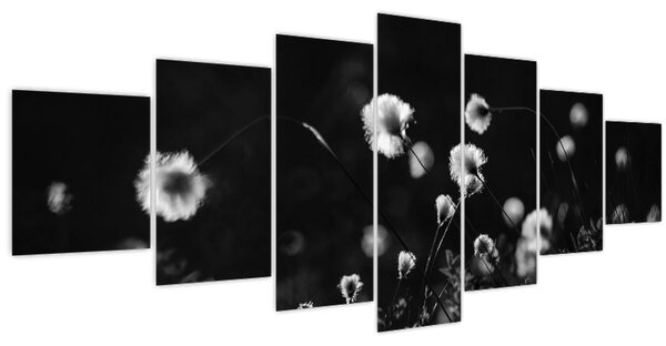 Obraz - Louka s cottongrass N⁰1 (210x100 cm)