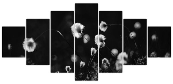 Obraz - Louka s cottongrass N⁰1 (210x100 cm)