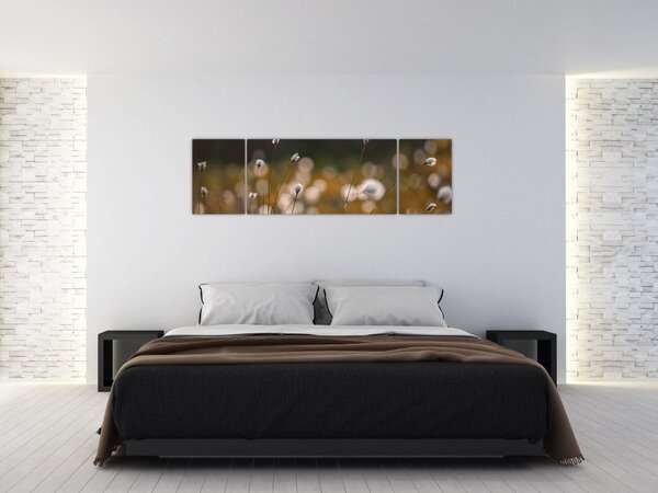 Obraz - Louka s cottongrass N⁰2 (170x50 cm)