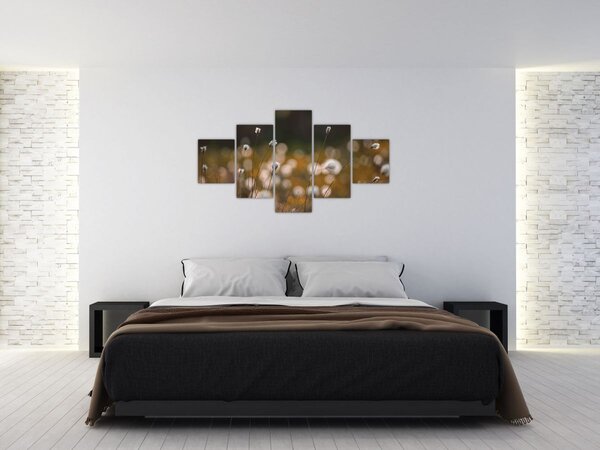 Obraz - Louka s cottongrass N⁰2 (125x70 cm)