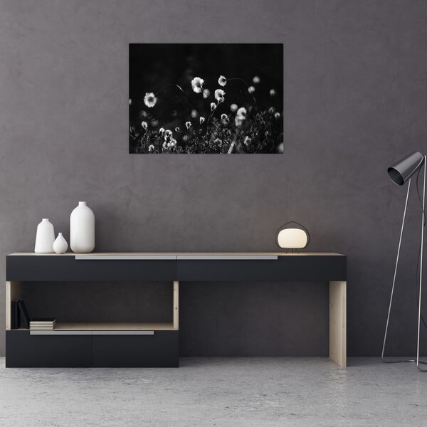 Obraz - Louka s cottongrass N⁰1 (70x50 cm)