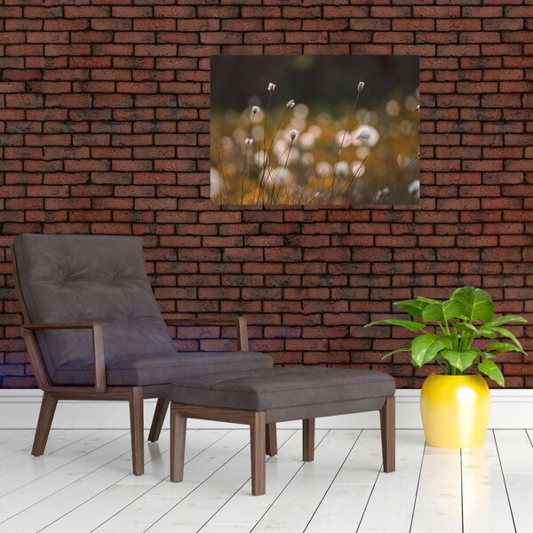 Obraz - Louka s cottongrass N⁰2 (70x50 cm)