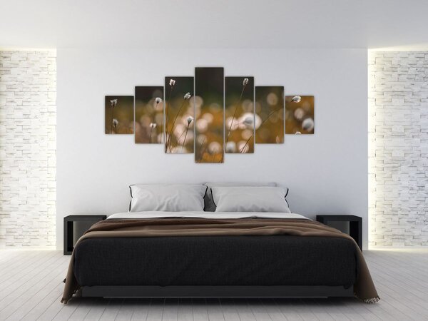 Obraz - Louka s cottongrass N⁰2 (210x100 cm)