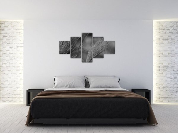 Obraz - Sušená pampová tráva (125x70 cm)