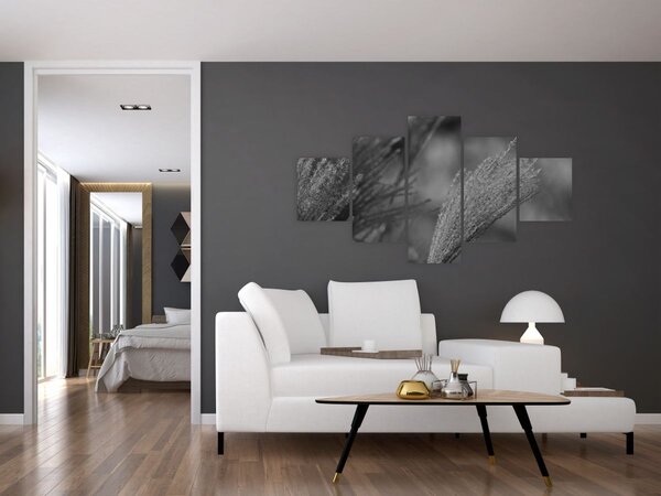 Obraz - Sušená pampová tráva (125x70 cm)