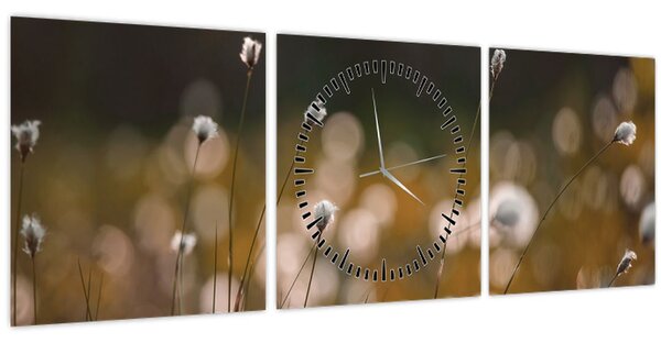 Obraz - Louka s cottongrass N⁰2 (s hodinami) (90x30 cm)