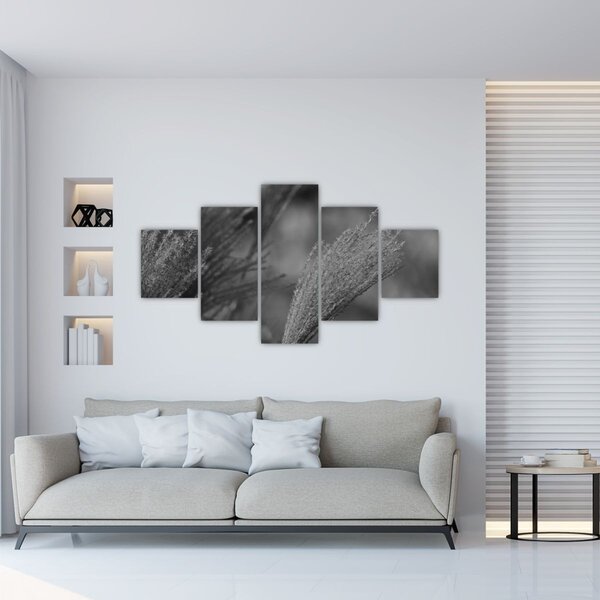 Obraz - Sušená pampová tráva (125x70 cm)