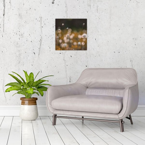 Obraz - Louka s cottongrass N⁰2 (30x30 cm)