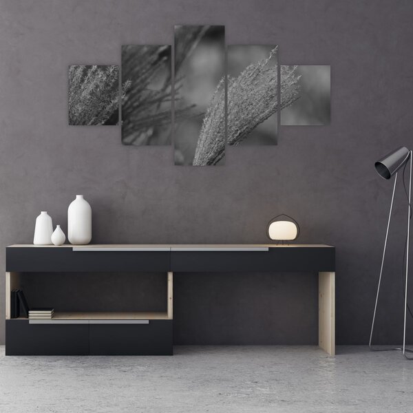 Obraz - Sušená pampová tráva (125x70 cm)