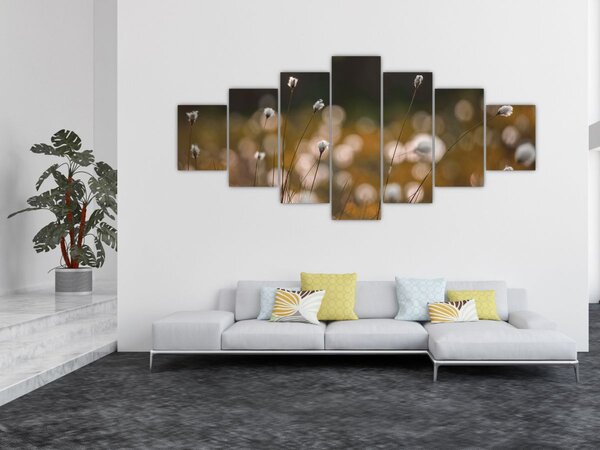 Obraz - Louka s cottongrass N⁰2 (210x100 cm)